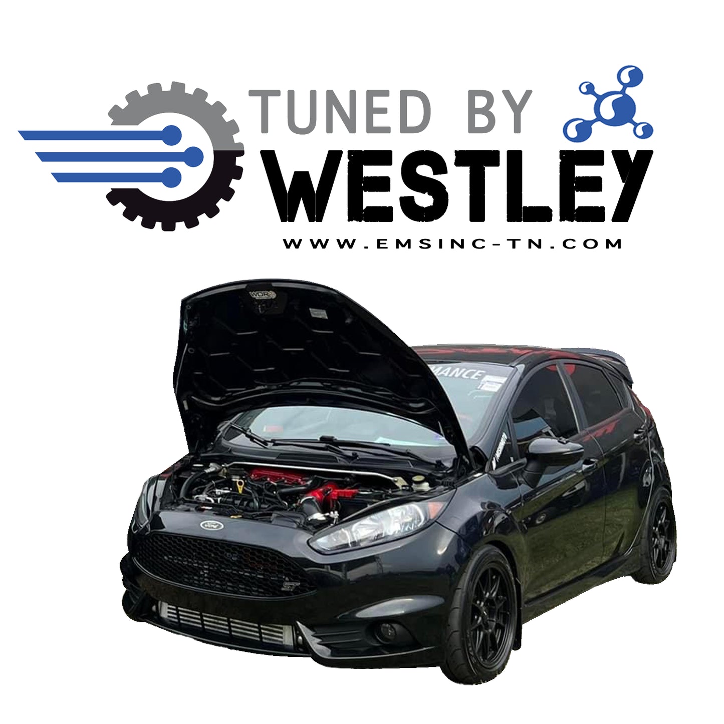 EMS Tuned By Westley - Custom Fiesta ST 2014-2019 Tuning (Cobb Access port Required)