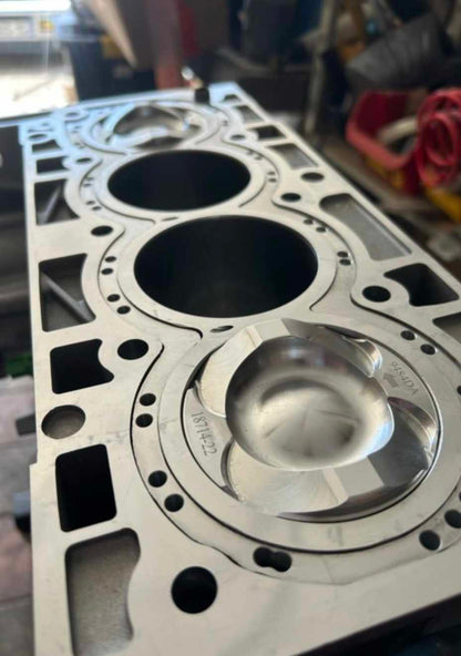 Billet Block Guard for 1.6L Ecoboost 2014-2019