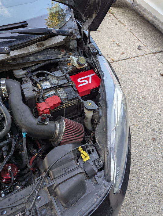 Fiesta ST Fuse Cover Overlay 2014-2019